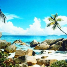 Bird Island Lodge 4*