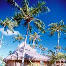 Kia Ora Village 5*