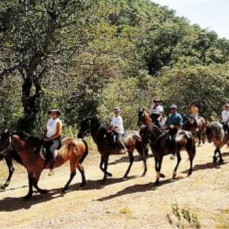 Dom Pedro Golf & Forum Conference Centre 4*