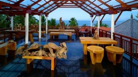 Turtle On The Beach 5*