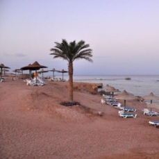 Sea Life Resort 4*