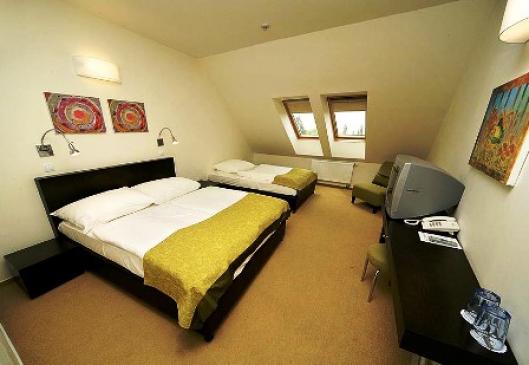 Hotel Vitkov 4*