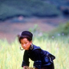 Victoria Sapa Resort 4*