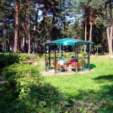  «Лесная опушка», санаторий