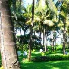 Majorda Beach Resort 5*