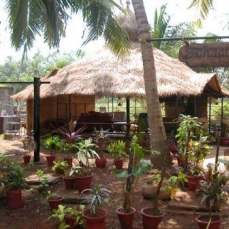 Whispering Palms Hotel 3*+