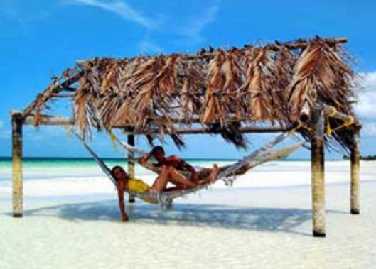 Melia Cayo Guillermo 5*