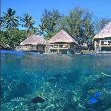 Hotel Bora Bora 5*