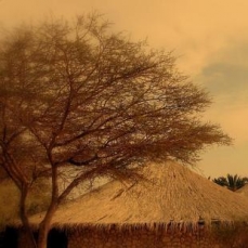 Ein Gedi 4*