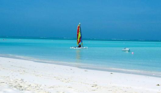 Parrot Cay 5 *
