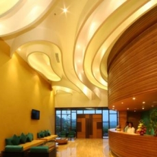 The Pearl Oceanique 4*