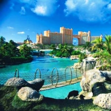The Harborside Resort At Atlantis 5*