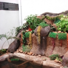 Colva Kinara 3*
