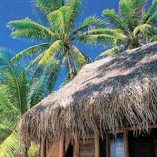 Tikehau Pearl Beach Resort 4*