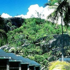The Plantation Club Resort & Casino 4*