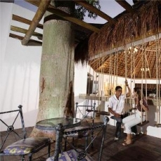 Real Playa del Carmen Hotel & Beach Club 4*