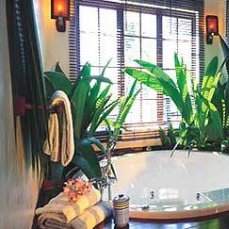 Anonyme Island Resort 5*