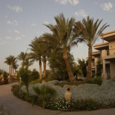 Radisson Sas 5*