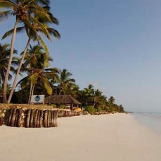 Bluebay Beach Resort 5*