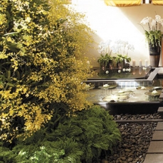 Shangri-La Hotel Bangkok 5*