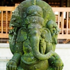 Elephant Safari Park Lodge 5*