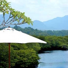 Mimpi Resort Menjangan boutique 5*