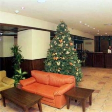 Mura 3*