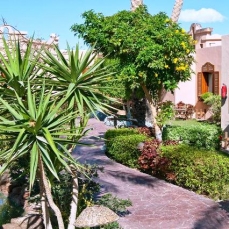 Nubian Island 5*