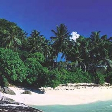 Anonyme Island Resort 5*