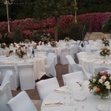 Mount Zion 5*