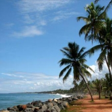 Taj Green Cove Resort & Spa 5*