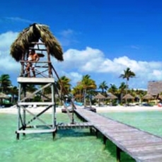 Melia Cayo Guillermo 5*