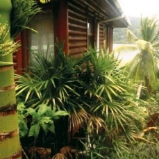 Le Jardin des Palmes 4*