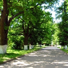  «Курорт Михайловское», санаторий