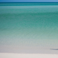 Parrot Cay 5 *