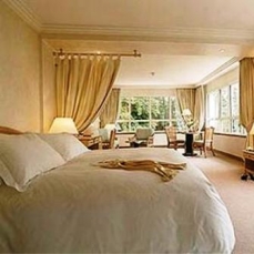 Sofitel Vichy Les Celestins  4*