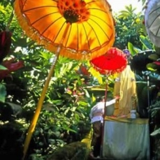 Amandari Ubud boutique 5*