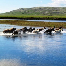 Geysir 4*