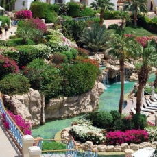 Hyatt Regency Sharm El Sheikh Resort 5*