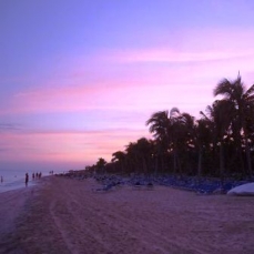 Viva Wyndham Maya 4*