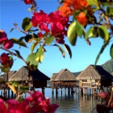 Sofitel Moorea Beach Resort (ex.Sofitel Ia Ora Moorea) 4*