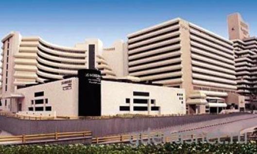 Le Meridien Amman 5*