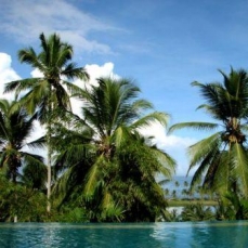 Taj Green Cove Resort & Spa 5*