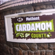 Cardamom County 4*