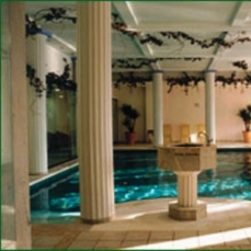 Grand Hotel Toplice 5*